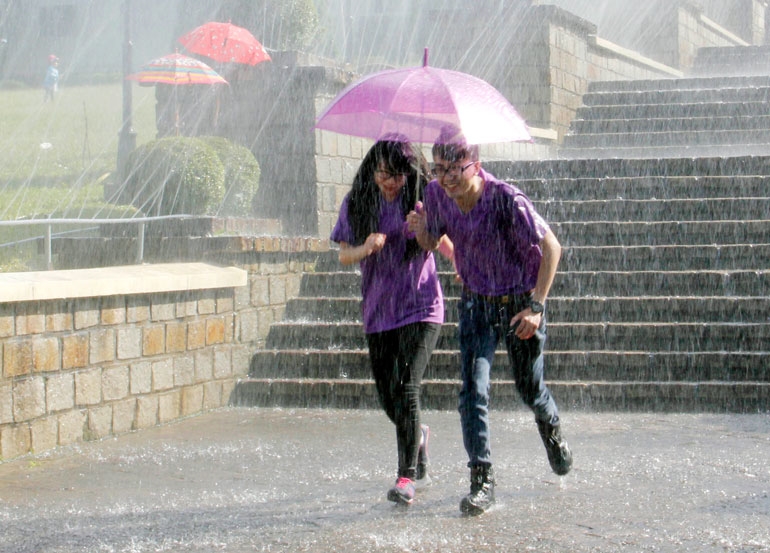 Đà Lạt (tỉnh Lâm Đồng) mưa nhiều, nhưng Đà Lạt đẹp cả trong mưa. Vẻ đẹp mà chỉ những người sống ở phố núi và yêu thành phố này mới cảm được