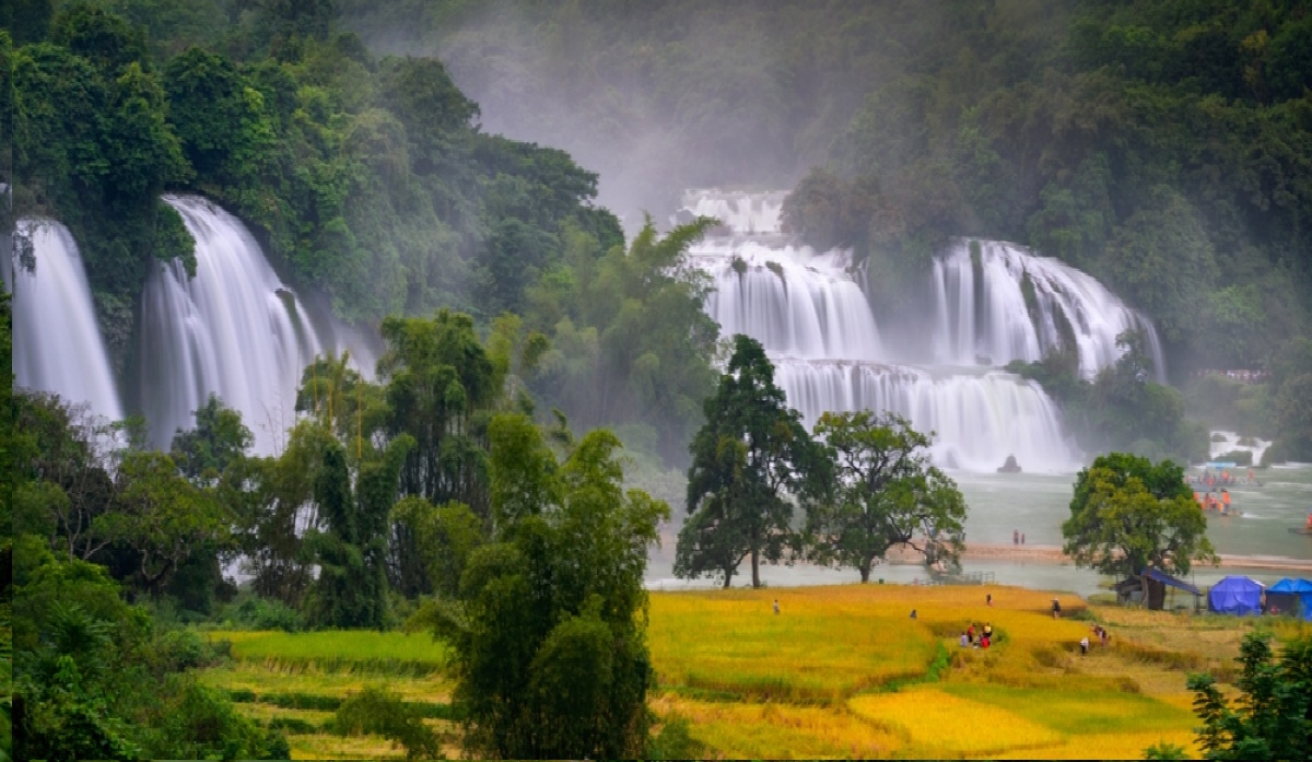 Những thửa ruộng chín vàng tạo nên cảnh sắc non nước hữu tình bên danh thắng thác Bản Giốc, xã Đàm Thủy
