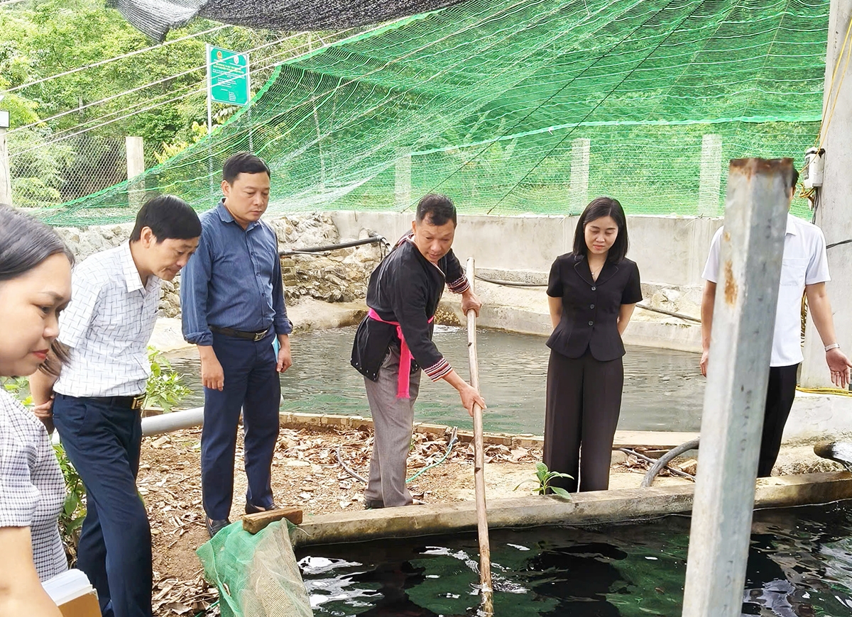 Đoàn công tác của Bộ Dân tộc và Tôn giáo làm việc tại xã Lai Đồng, tỉnh Phú Thọ, kiểm tra, đánh giá tình hình thực hiện các chương trình mục tiêu quốc gia trên địa bàn (Trong ảnh: Đoàn công tác khảo sát thực tế mô hình phát triển kinh tế của người dân xã Lai Đồng, tháng 7/2026)
