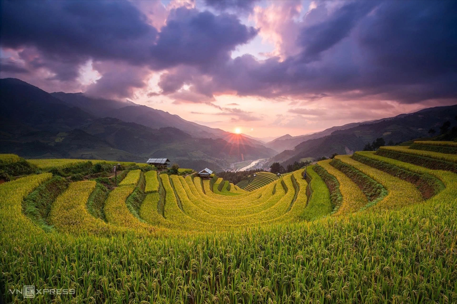 Mùa vàng Mù Cang Chải (Lào Cai)