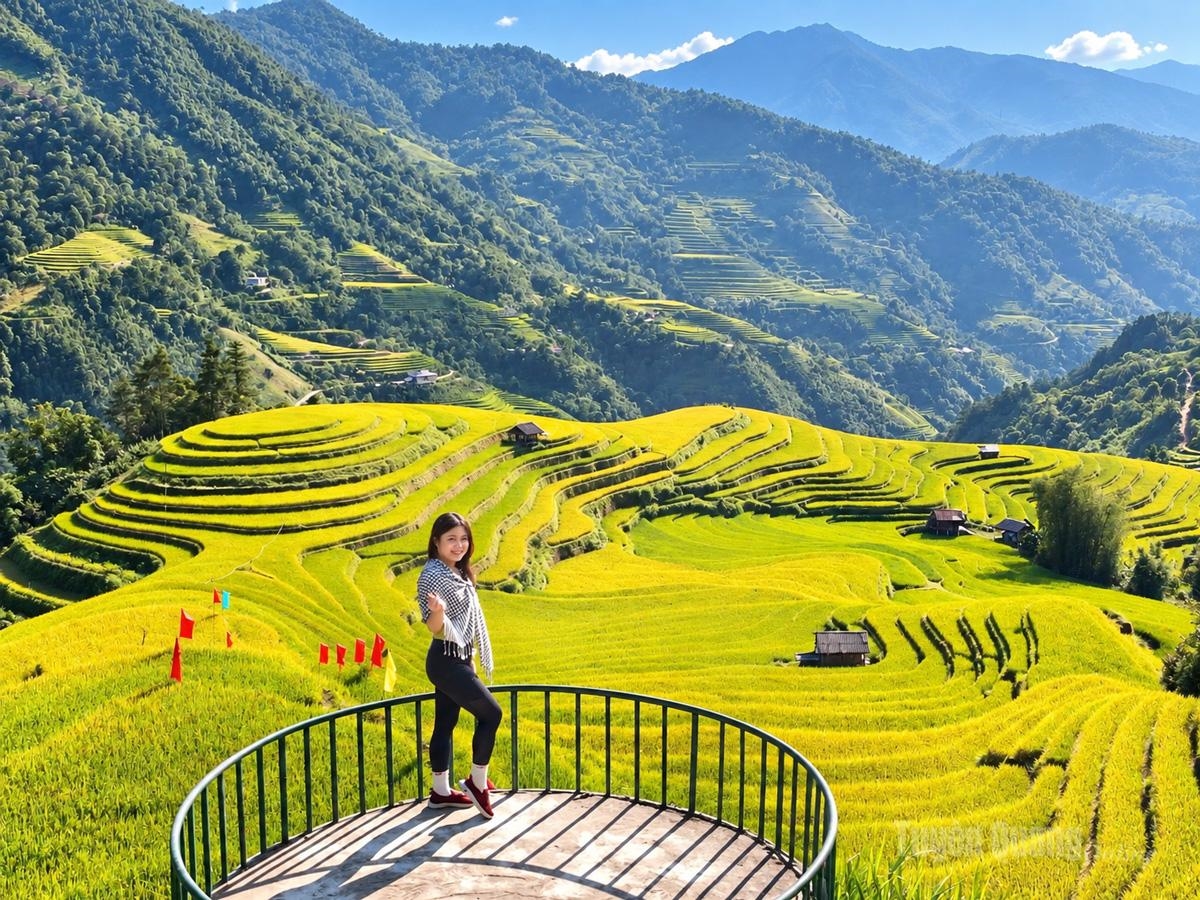 Du khách lưu lại khoảnh khắc đẹp giữa mùa vàng trên đồi mâm xôi Nậm Khòa
