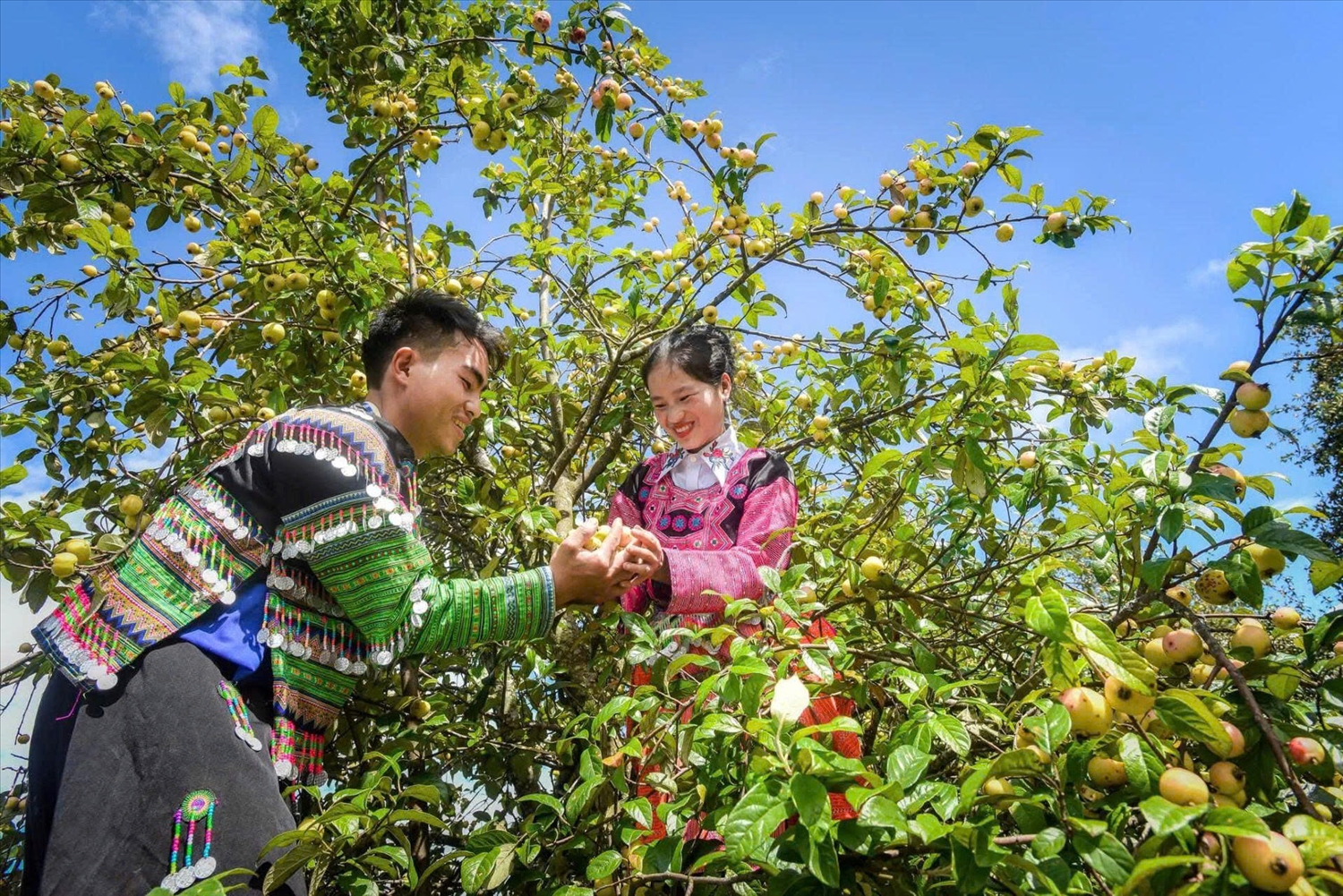 Vẻ đẹp cuộc sống ở bản vùng cao Nậm Nghẹp, xã Ngọc Chiến, tỉnh Sơn La