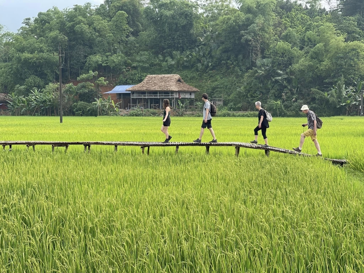 Phát triển du lịch từ di sản văn hóa các dân tộc thiểu số