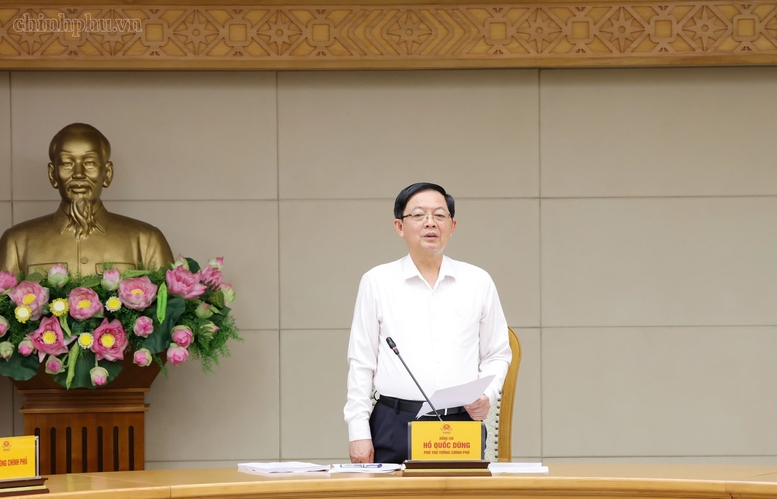 Phó Thủ tướng Hồ Quốc Dũng kết luận cuộc họp - Ảnh: chinhphu.vn/Gia Huy