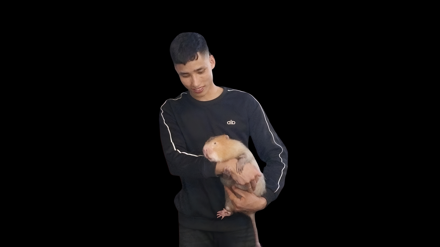 Dám thử thách để làm giàu 1