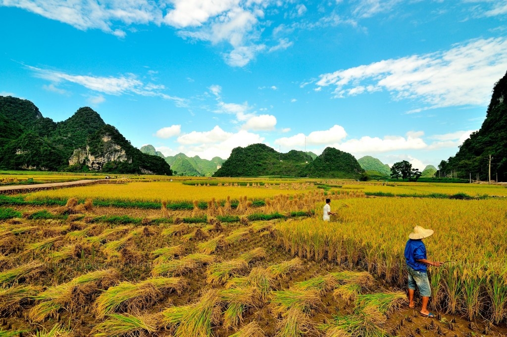 Những năm qua, đội ngũ Người có uy tín có vai trò quan trọng, góp phần củng cố khối đại đoàn kết toàn dân tộc, đưa các chủ trương, nghị quyết của Đảng thực sự đi vào cuộc sống, tạo động lực phát triển kinh tế - xã hội, giữ vững quốc phòng - an ninh ở địa phương.
