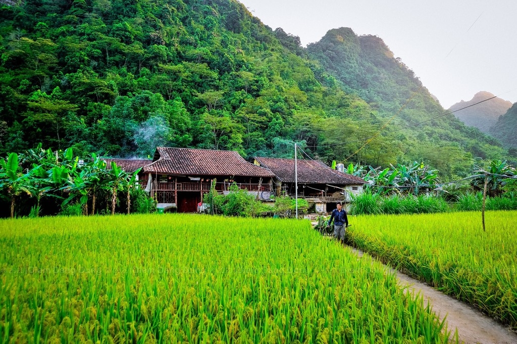 Người có uy tín vừa đóng vai trò tiên phong, vừa tích cực chia sẻ kinh nghiệm, hướng dẫn bà con trong thôn, bản nỗ lực xóa đói, giảm nghèo, xây dựng nông thôn mới góp phần quan trọng vào nhiệm vụ phát triển kinh tế-xã hội.