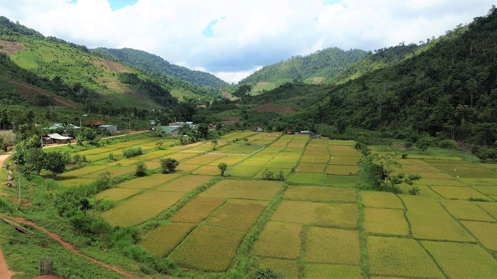Vẻ đẹp nguyên sơ của thung lũng Đăk Pne ôm trọn những cánh đồng lúa sắc màu của bản làng người Ba Na