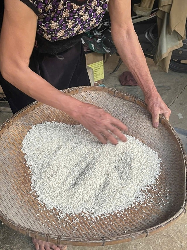 Mr. Hoang Van Men’s family pioneered the production of Mac Duoi rice, achieving OCOP certification 
