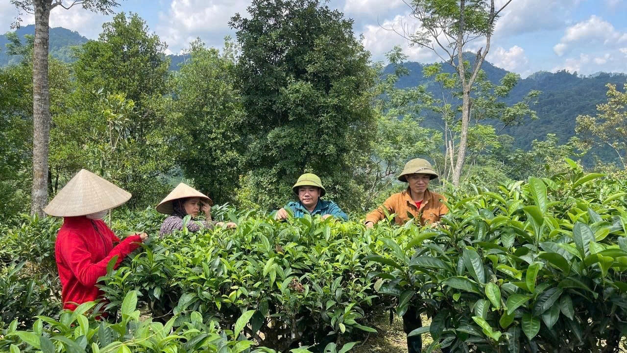 Đa dạng hóa sinh kế, khơi dậy nội lực của người dân, gắn phát triển sản xuất với tiêu thụ sản phẩm theo chuỗi giá trị