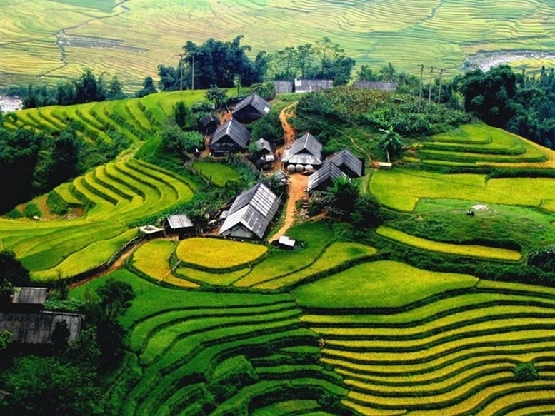 Vùng trung du và miền núi phía Bắc đang trở thành vùng phát triển xanh, bền vững, toàn diện