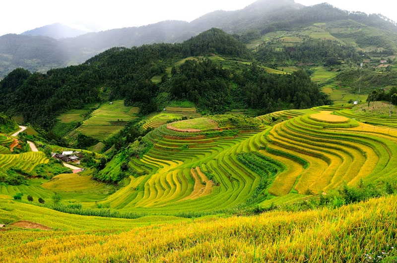 Thúc đẩy phát triển kinh tế - xã hội vùng đồng bào dân tộc thiểu số và miền núi giai đoạn 2026-2035