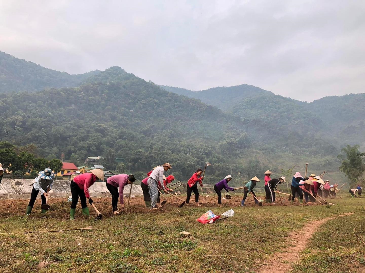 Người dân bản Nà Sự, xã Mường Chà triển khai làm đất trồng lạc để tăng thu nhập