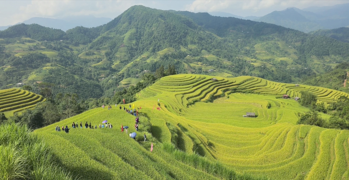 Đầu tư cho nông nghiệp, nông dân, nông thôn, giảm nghèo bền vững và phát triển vùng đồng bào dân tộc thiểu số và miền núi chính là đầu tư cho phát triển quốc gia (Ảnh: Trần Dũng)