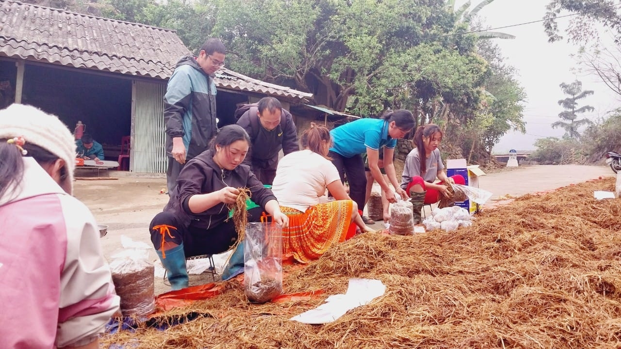 Mô hình trồng nấm của phụ nữ bản Há La Chủ A, Há La Chủ B, xã Pa Ham được kỳ vọng giúp đồng bào thoát nghèo