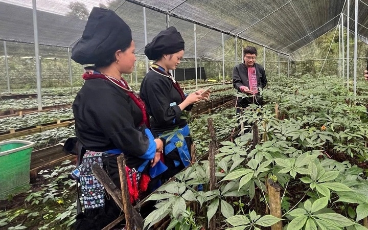 Tỉnh Lai Châu giảm nghèo bền vững từ mô hình nông nghiệp hiệu quả
