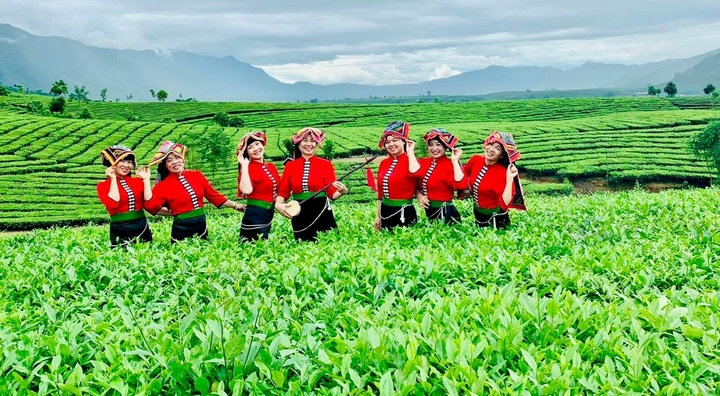 Xanh màu nương đồi, đổi thay đời sống vùng cao, miền núi tỉnh Lai Châu