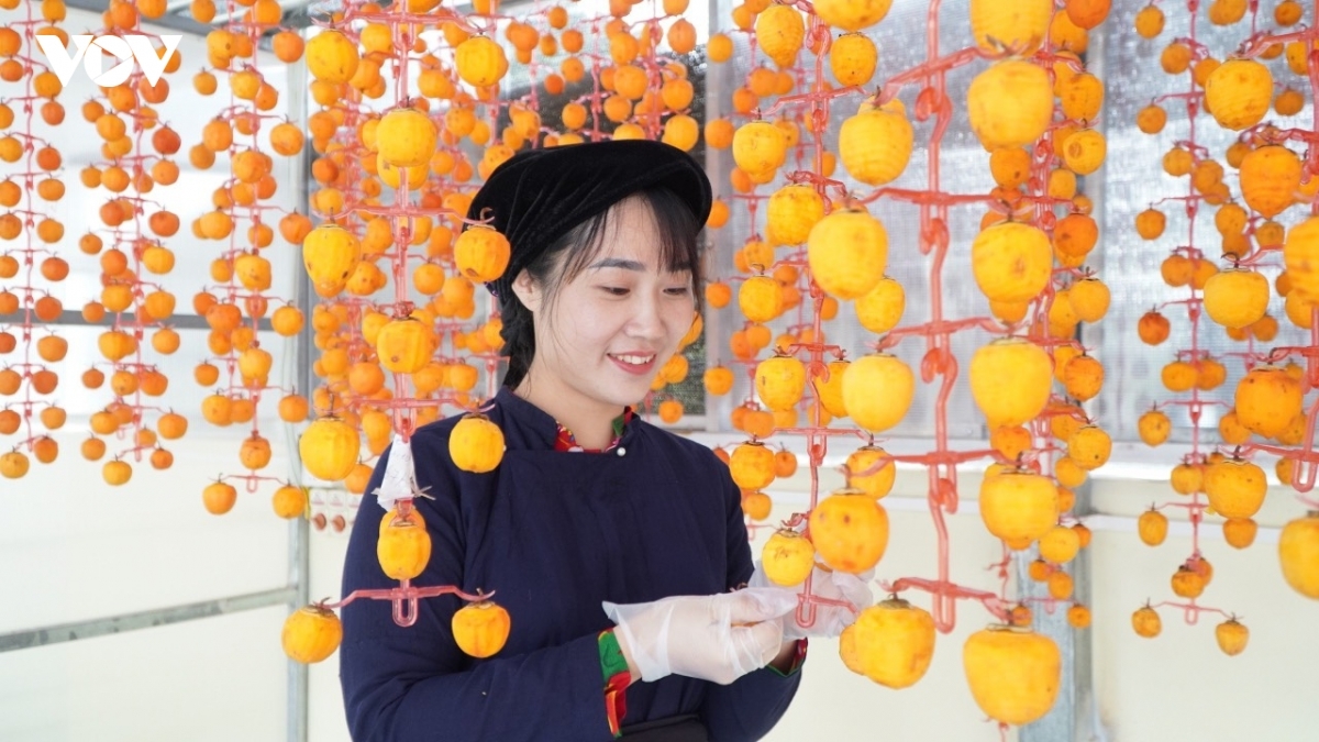 Chị Vương Thị Thương cẩn thận treo những quả hồng vành khuyên lên giàn phơi