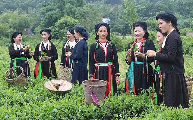 Nhiều hộ nghèo người dân tộc thiểu số đã vươn lên thoát nghèo nhờ áp dụng khoa học công nghệ vào sản xuất nông nghiệp