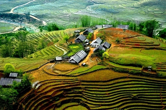 Chuyển đổi số đã vượt khỏi phạm vi cải cách hành chính để trở thành một phương thức kiến tạo phát triển