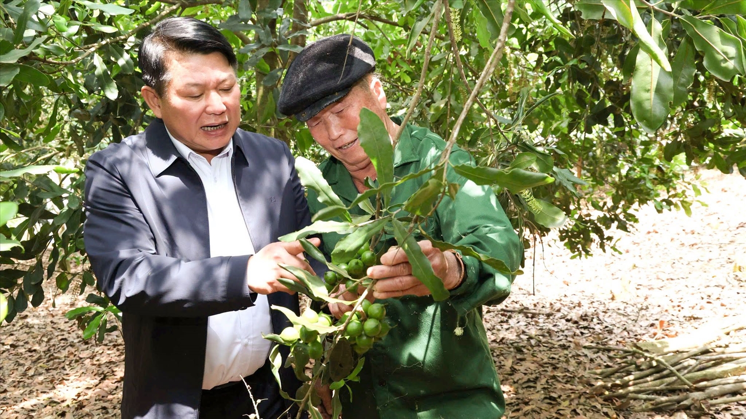 Nhiều năm qua, ông Mùa A Chu (bên phải), Người có uy tín ở bản Lọng Hỏm, xã Phiêng Cằm, tỉnh Sơn La luôn phát huy tốt vai trò của mình trên mọi lĩnh vực