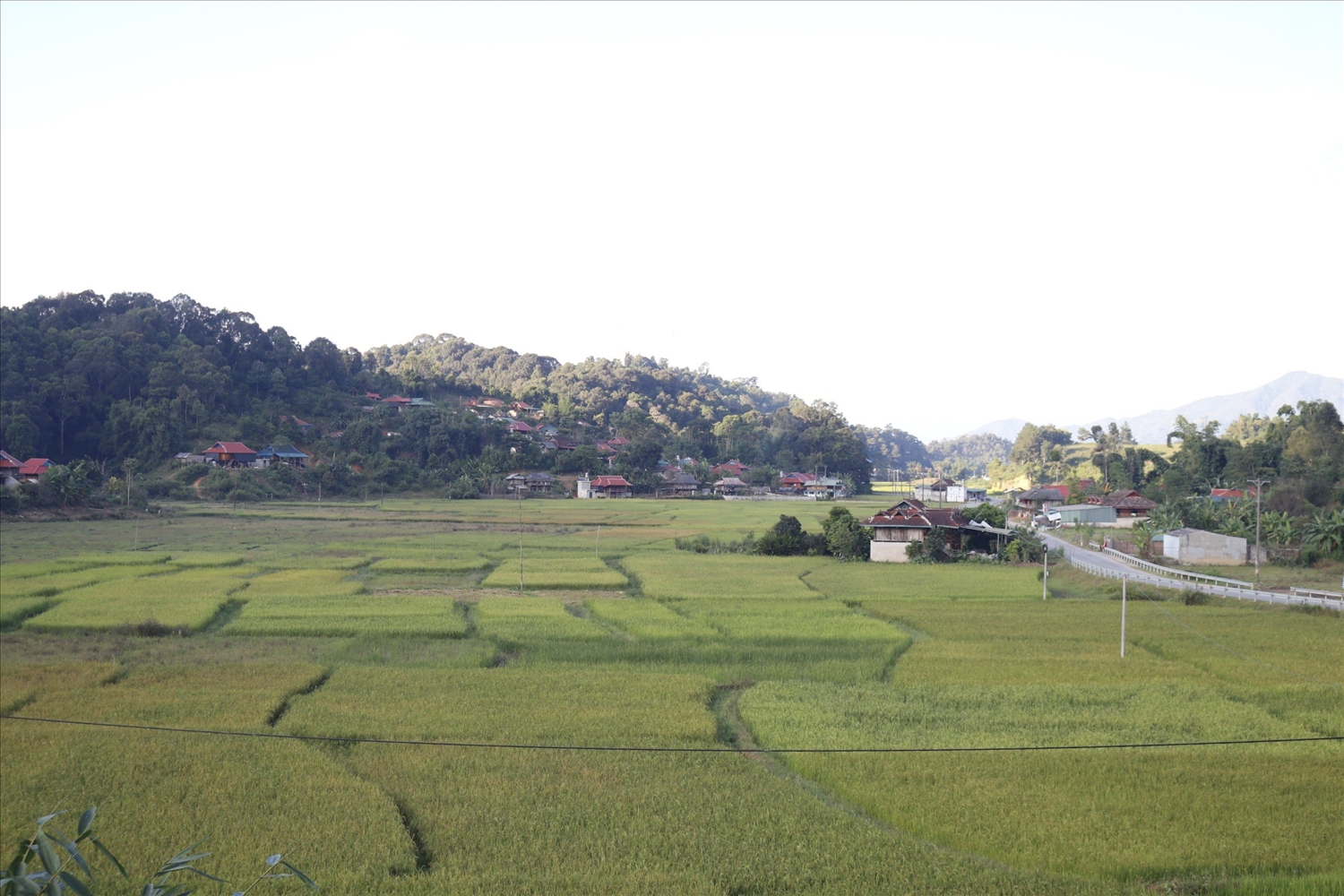 Nông thôn tươi đẹp ở xã Mường Phăng, tỉnh Điện Biên (Ảnh: Phương Liên)