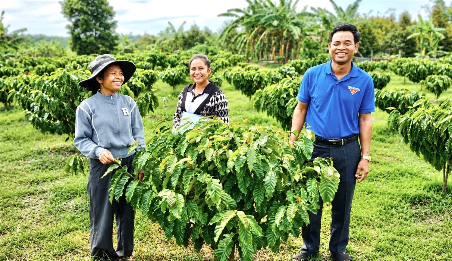 Thanh niên tỉnh Lâm Đồng mạnh dạn lập nghiệp ngay tại quê hương (Ảnh minh họa)