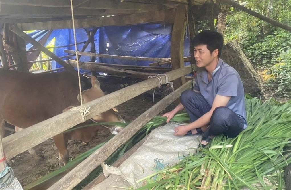 Xóm Phja Cọ có 82 hộ dân, trong đó có 36 hộ theo đạo Tin Lành. Các tín hữu đạo Tin Lành và người dân xóm Phja Cọ đều phát huy vai trò tiên phong phát triển kinh tế, trong đó có chăn nuôi bò vỗ béo, góp phần nâng cao thu nhập, phát triển kinh tế hộ gia đình